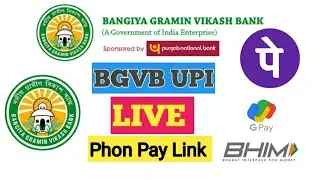 How to BGVB UPI Enable