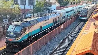 Metrolink and Amtrak: Service in Santa Ana (6-17-2024)