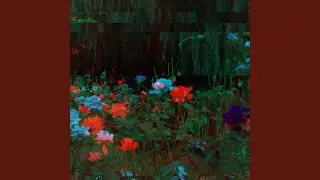 Bright Moods for Classy Magic