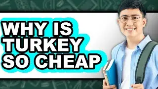 Why Is Turkey So Cheap - Answered