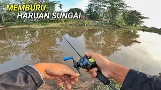 Casting Haruan di Sungai Yang Baru Ditemui!