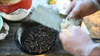 Bon appetit! DC chef cooks cicada sushi after billion-bug invasion | AFP