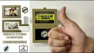 NUEVOS HORMIGUEROS DE PARED | ANTWALL DESING