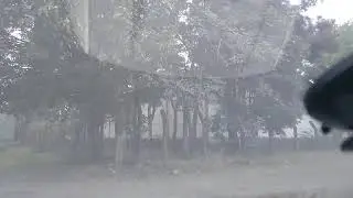EN VIVO ||  10 de Enero de 2026.