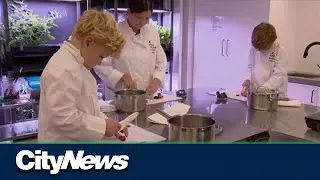 Culinary academy for kids