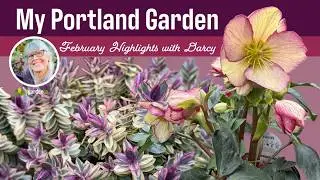 GARDEN TOUR: Darcy Daniels' Portland Garden in February