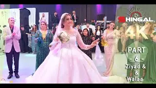 Ziyad & Walaa - Part 6 - Honar Kandali - By Shingal Company