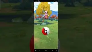 PokemonGOs BFT Pkgo