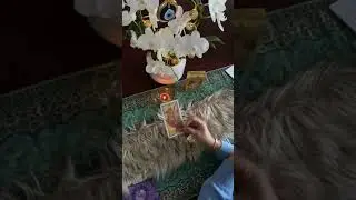 فال تاروت عشقی با شهرزاد.. چرا بمن پیشنهاد نمیده؟فال فکوس با شهرزادلایو ۲ لطفا اول لایو یک را ببینید