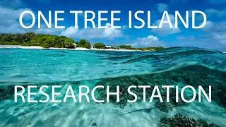 One Tree Island Adventure and Research