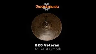 WHD B20 Veteran 14