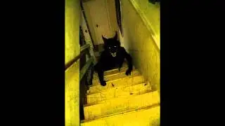 M.  Unsettling