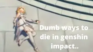 Dumb ways to die in genshin impact...