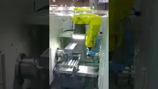 DMC Q5 2s #5644