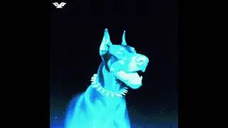 [FREE] DNB Type Beat - 