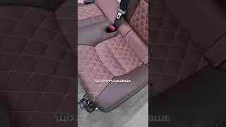 Leather Expert &mdash; професійна фарба для шкіряного салону авто