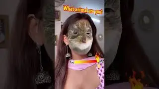 WHAT ANIMAL IS THIS 🤷🤪 #anahitabhooshan #shorts #instagramfilter #instagramreelofanahitabhooshan