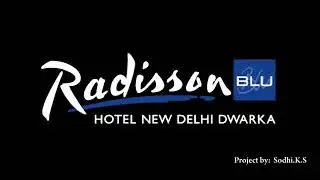 Radisson Blue in Delhi