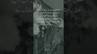 Urdu Novels That Feel Like Quiet Screams