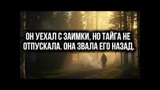 Он уехал с заимки, но тайга не отпускала  Она звала его назад   Таежные истории
