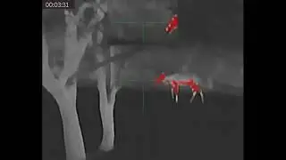 AGM Rattler TS25-256 Thermal Buck Chase In Pitch Black Darkness