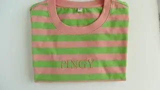 PINGY shirt quick update and brand and WHAT IT IS