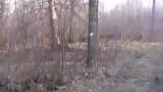 Atv Shelter Day Ride