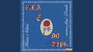 Ela &Eacute; do Tipo (feat. Drake) (Remix)
