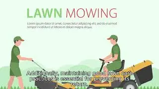How to get rid of Crabgrass , good remedy at the end of the video@islandlife786