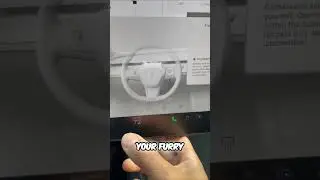 Tesla's ☀️ Coolest Feature? 🌡️ You'll Love This! 😎