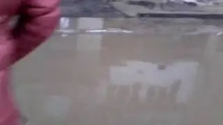 Спонтанное видео  море -  лужа