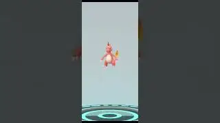 Evoluci&oacute;no a Charmader con gorrito de fiesta. #pokemongo #charmander #charmeleon #charizard