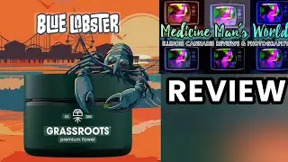 Blue Lobster | Hybrid | Weed Review 