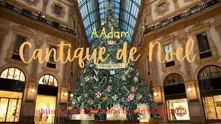 【Christmas Song】🎄A.Adam ＜Cantique de Noël＞ /  A.アダン ＜さやかに星はきらめき＞