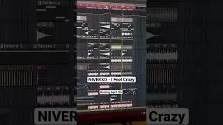NIVERSO - I Feel Crazy #niverso #deephouse #deephouse2023