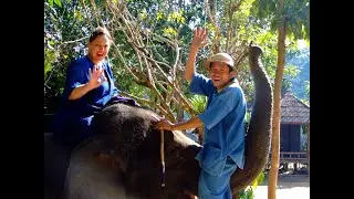 Mahout training