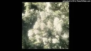 BOTANICA × AMBIENT × EMOTIONAL × ORGANIC TYPE BEAT || prod. Astoxai