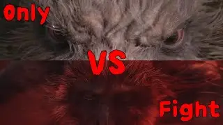 Only Zhu Bajie and Macaque Chief Fight