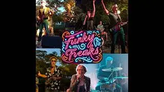 Funky freaks  : Play that funky music (Wild Cherry cover) version démo raccourcie