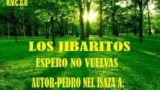 ESPERO NO VUELVAS,LOS JIBARITOS- PEDRO NEL ISAZA A.