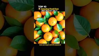 Top 10 Mind Blowing Facts About Food 🍋🍒🍑🥝🥑| भोजन के तथ्य | #facts #food #youtubeshorts #facts