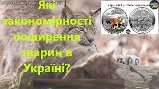 Які закономірності поширення тварин в Україні?