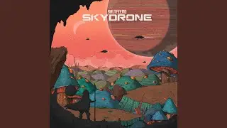 Skydrone