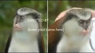 VIDEO 2022 02 07 10 29 41