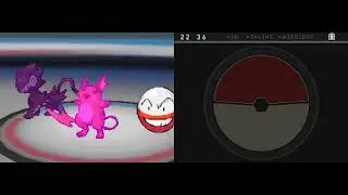 Pokemon White 2 Sinnoh Leaders Tournament Triple 16-9-2024