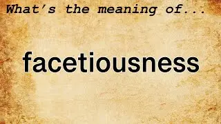 Facetiousness Meaning : Definition of Facetiousness