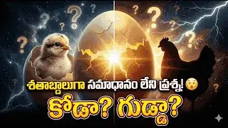 ముందు కోడి వచ్చిందా? గుడ్డు వచ్చిందా?   అసలు నిజం ఇదే. Chicken or Egg: What Came First? The Truth