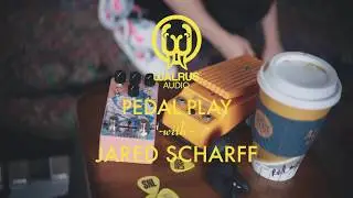 Walrus Audio Pedal Play: Kangra Filter Fuzz - Fuzz Controls