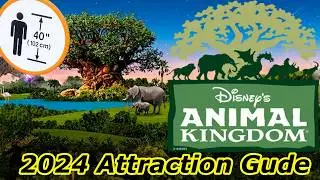 Animal Kingdom Rides & Attractions | Height Requirements | Disney World 2024