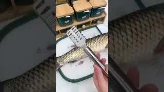 Fish scale remover